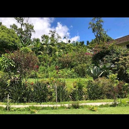 Casa Junto Ao Parque Villa Teresopolis Exterior photo